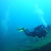 Picture taken during the dive