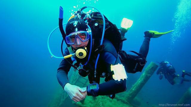 Dolphin's Diving Lloret De Mar - Dive Center in Spain