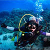 Picture taken during the dive