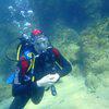 Picture taken during the dive