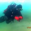 Picture taken during the dive
