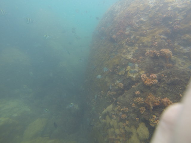 Elite Dive Center - Dive Center