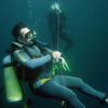 Picture taken during the dive