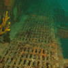 Picture taken during the dive