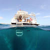 Picture taken during the dive