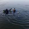 Picture taken during the dive