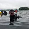 Picture taken during the dive