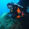 Picture taken during the dive