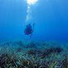 Picture taken during the dive