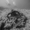 Picture taken during the dive