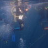 Picture taken during the dive