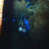 Picture taken during the dive