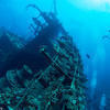 Picture taken during the dive