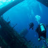 Picture taken during the dive