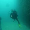 Picture taken during the dive