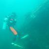 Picture taken during the dive