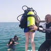 Picture taken during the dive