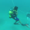 Picture taken during the dive