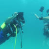 Picture taken during the dive