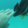 Picture taken during the dive