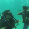 Picture taken during the dive