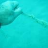 Picture taken during the dive