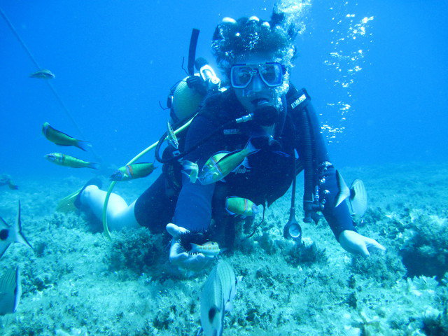 Kusadasi Diving Centre - Dive Center in Turkey
