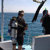 Picture taken during the dive