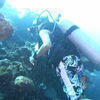Picture taken during the dive