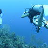 Picture taken during the dive
