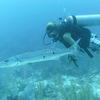 Picture taken during the dive