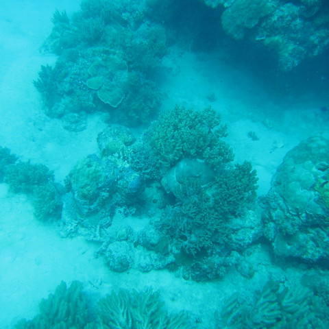 Tusa Dive - Dive Center in Australia