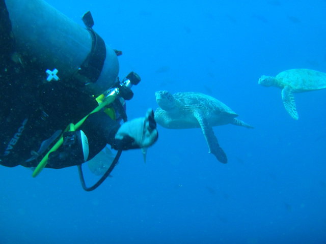 Big John Scuba - Dive Center in Malaysia