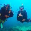 Picture taken during the dive