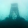 Picture taken during the dive