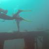 Picture taken during the dive