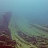 Picture taken during the dive