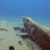 Picture taken during the dive