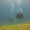 Picture taken during the dive