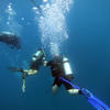 Picture taken during the dive