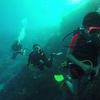 Picture taken during the dive
