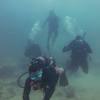 Picture taken during the dive