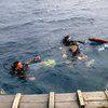 Picture taken during the dive