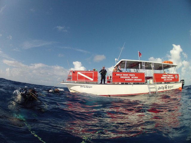 Captain Hook's Dive Center - Dive Center in United States