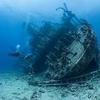 Picture taken during the dive