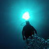 Picture taken during the dive