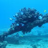 Picture taken during the dive