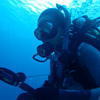 Picture taken during the dive