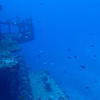 Picture taken during the dive