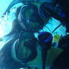 Picture taken during the dive